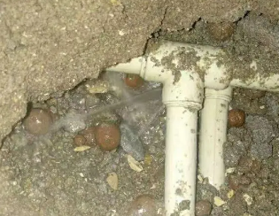 花山卫生间测漏